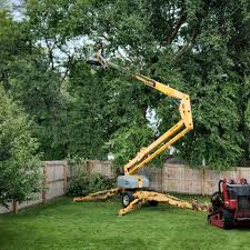 Best Fruit Tree Pruning  in Spirit Lake, IA