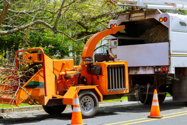 Best Arborist Consultation Services  in Spirit Lake, IA