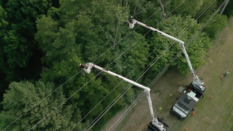 Best Storm Damage Tree Cleanup  in Spirit Lake, IA